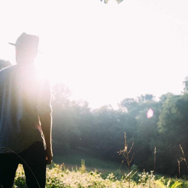 BORA Professional 3.0 - Galleri 1