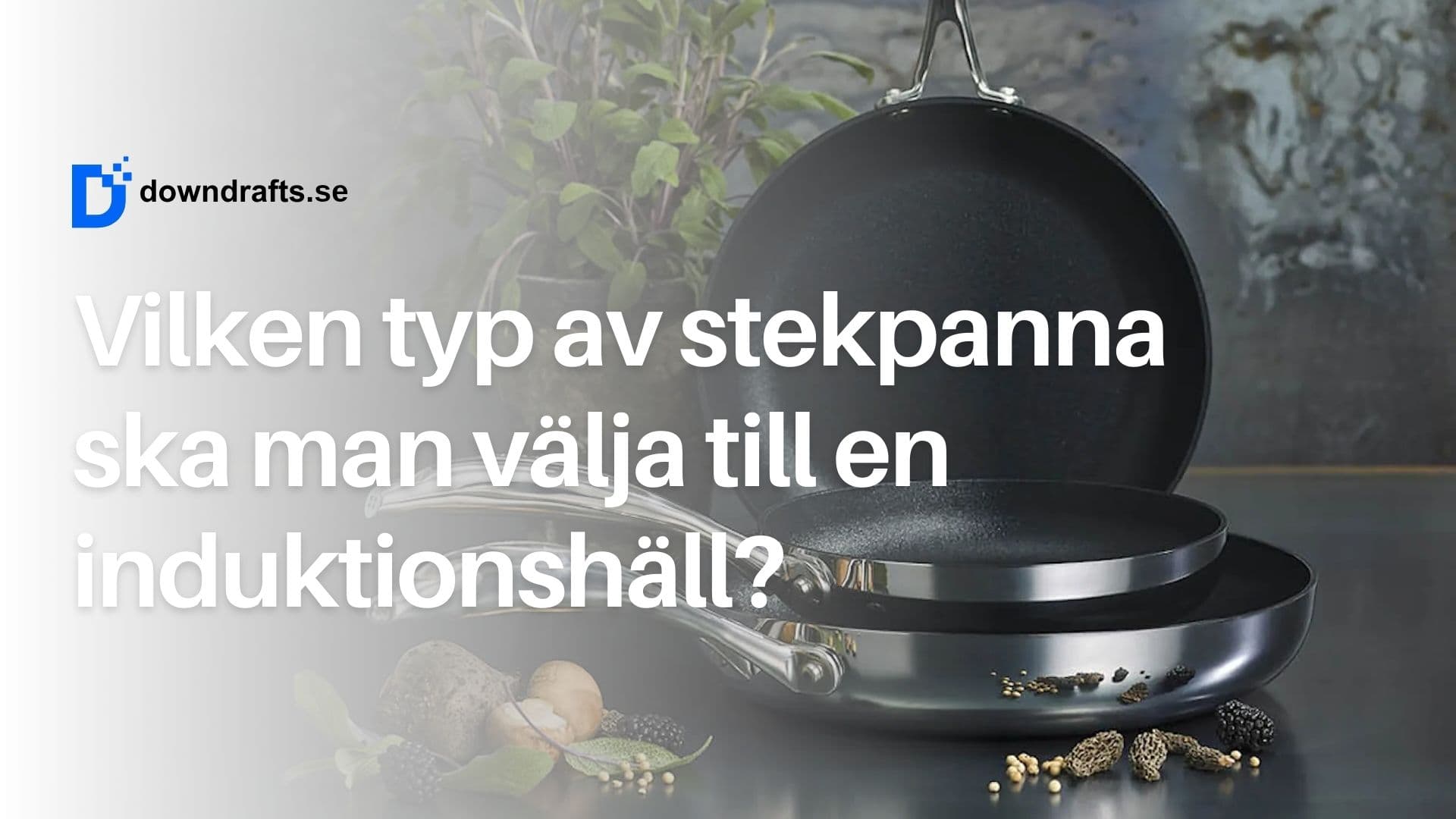 Vilken typ av stekpanna ska man välja till en induktionshäll?